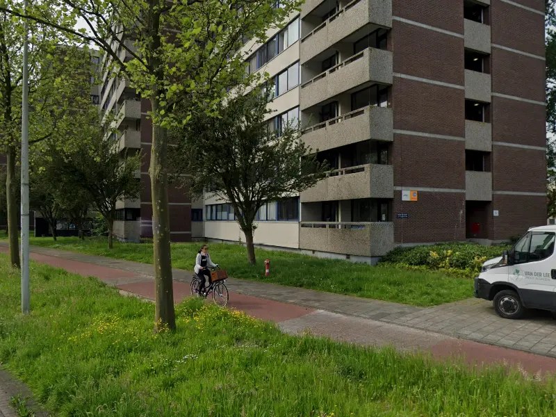 muziekles amsterdam-meer en vaart 332